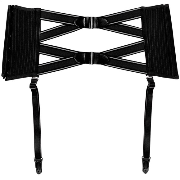 Garter Belt / Waist Cincher /Waspie NWT - Picture 2 of 10